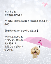 画像をギャラリービューアに読み込む, オリジナル美人傘